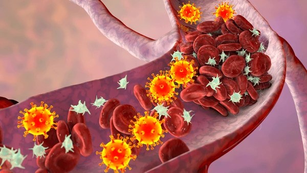 Coagulation Protein Disorders Market Report | Drugs Sales, Pipeline Therapies and Regional Outlook&nbsp;2025-2035